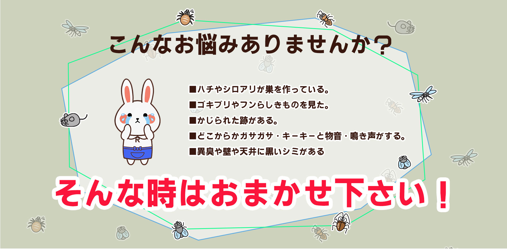 アールクリーニング,害虫,害獣,害虫駆除,害獣駆除,こんなお悩みありませんか？