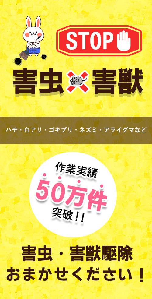 アールクリーニング,害虫,害獣,害虫駆除,害獣駆除？