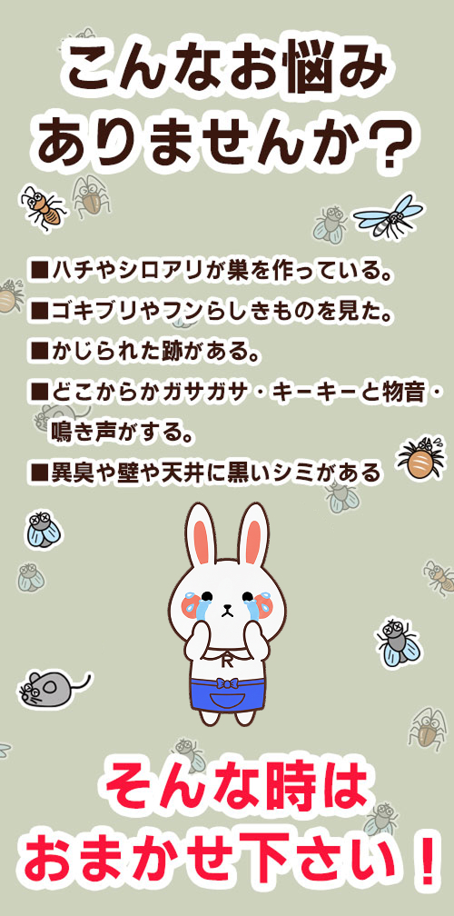 アールクリーニング,害虫,害獣,害虫駆除,害獣駆除,こんなお悩みありませんか