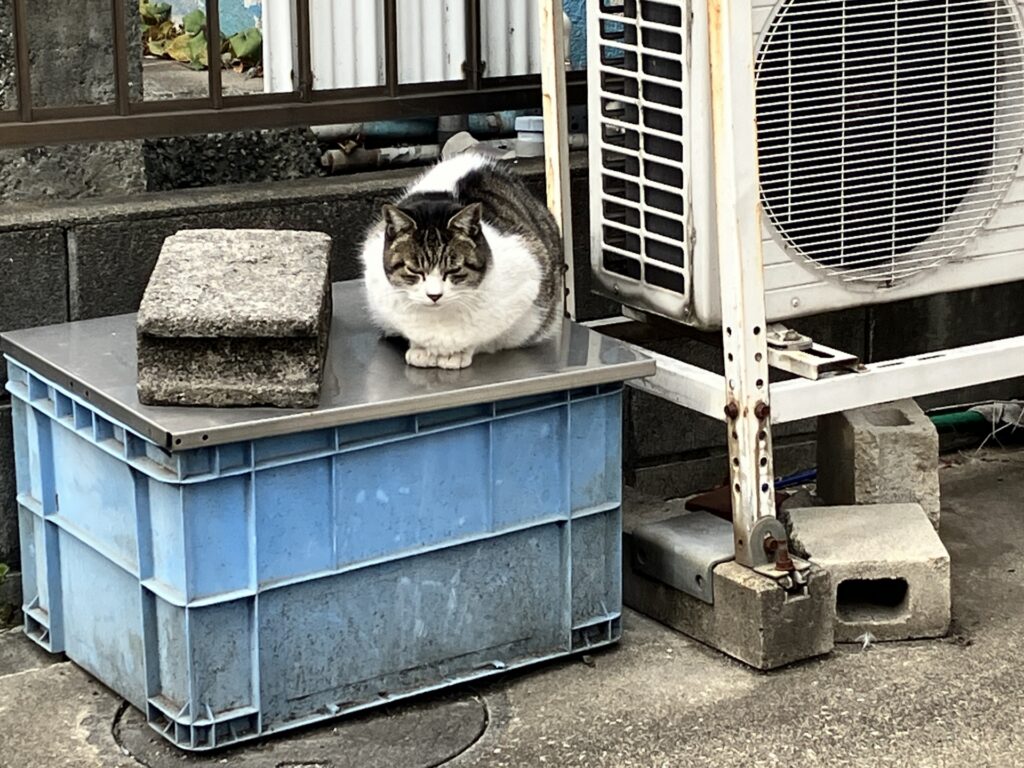 横にものがおいてある室外機