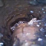 汚れた排水管