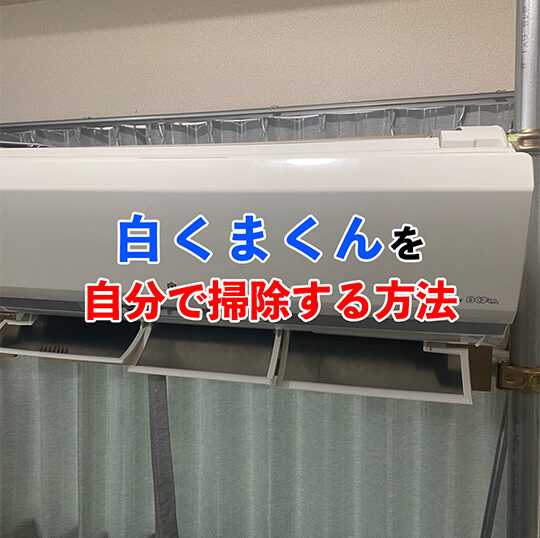 白くまくん記事アイキャッチ