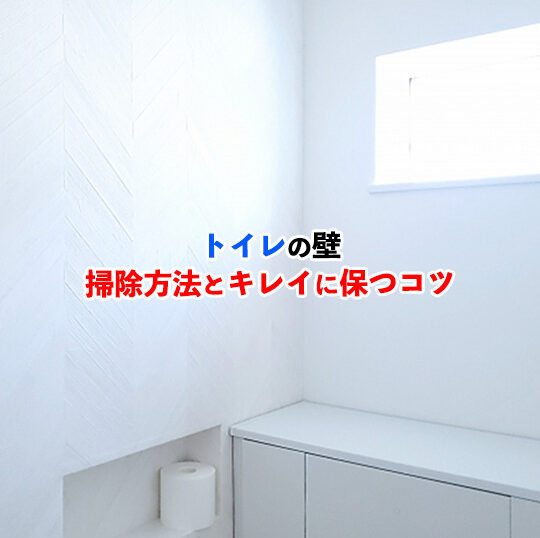 トイレの壁記事アイキャッチ